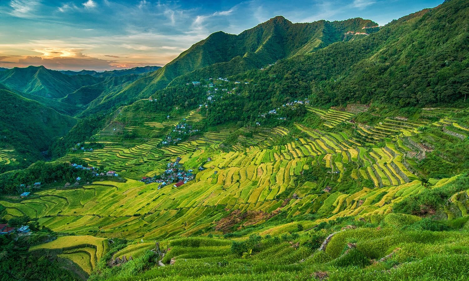 Banaue Rice terraces