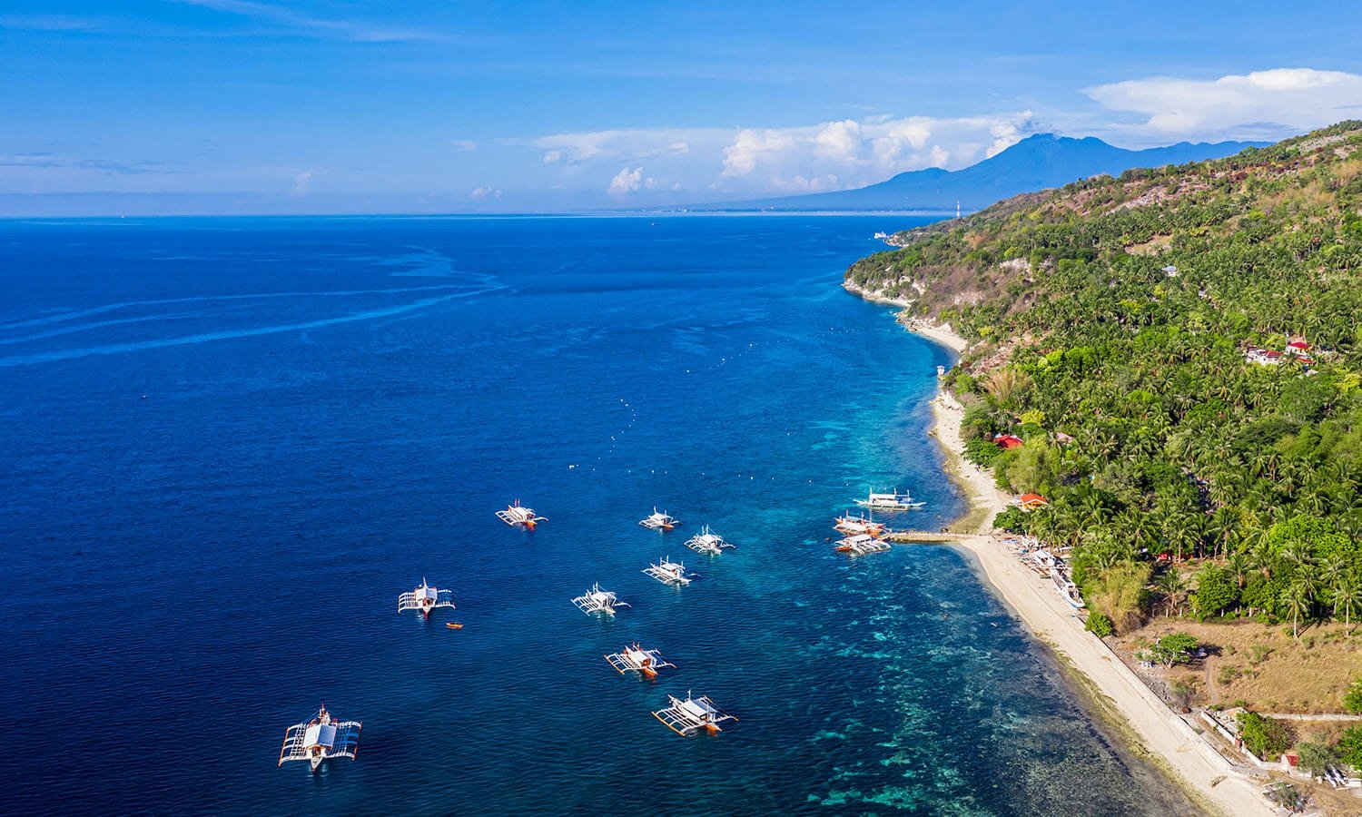 Oslob beach Aerial view