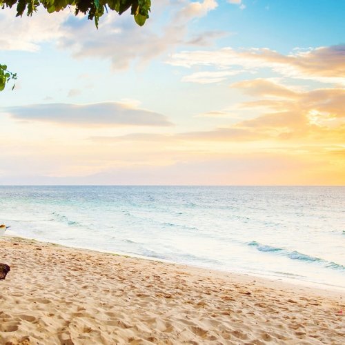 White sand beach in Moalboal