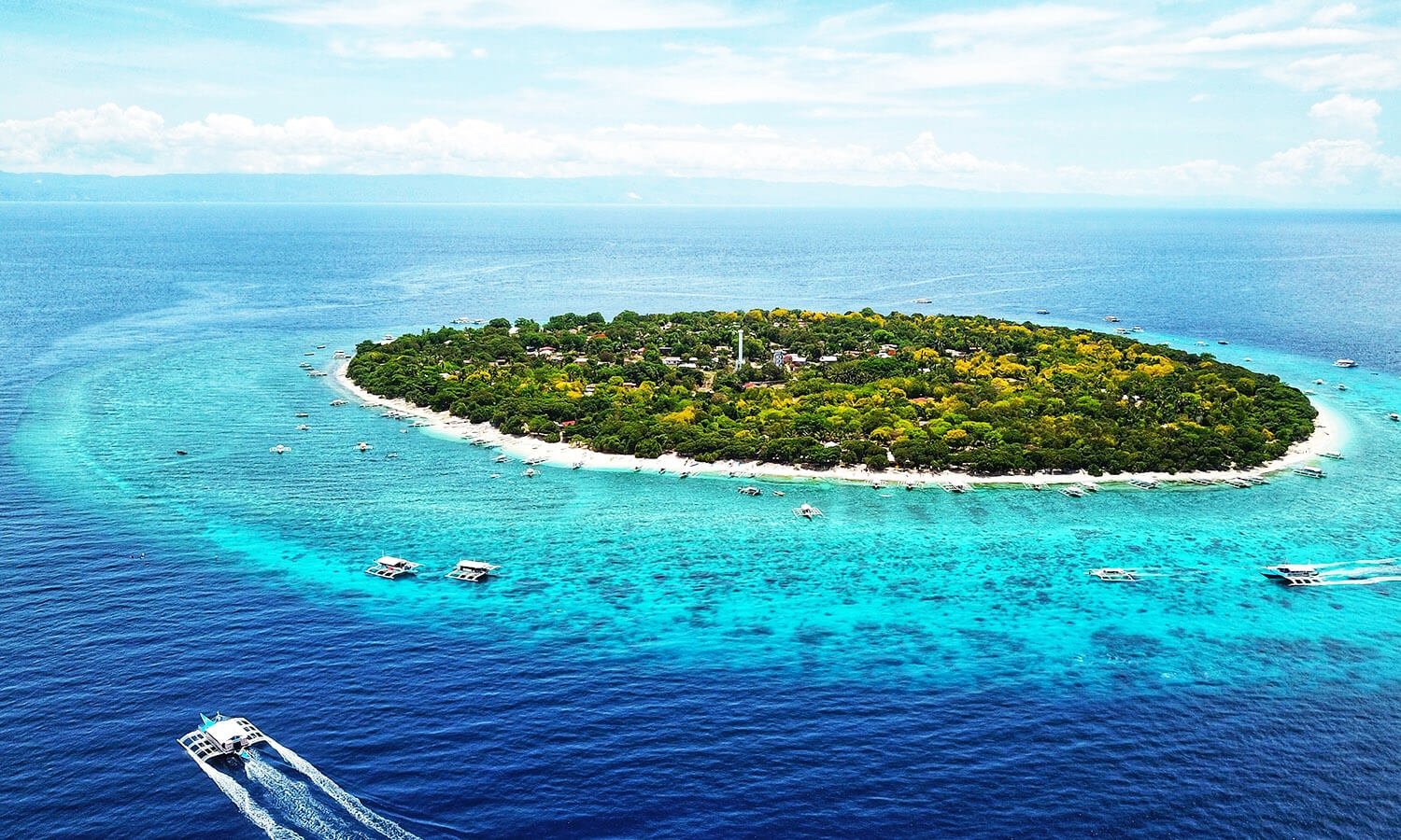 Balicasag Island Bohol aerial view
