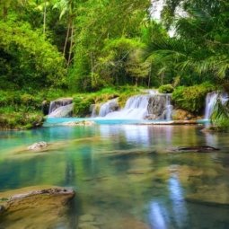Deep Forest waterfall in Siquijor