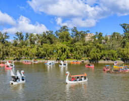 Riding boats in Burnham Park