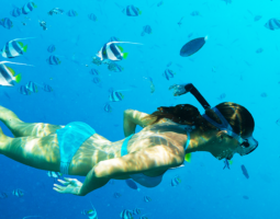 Boracay Snorkeling with many fish