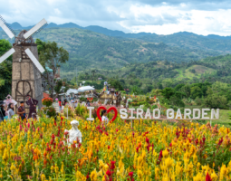 Sirao Garden flower garden