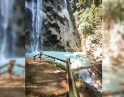 Tumalog Falls