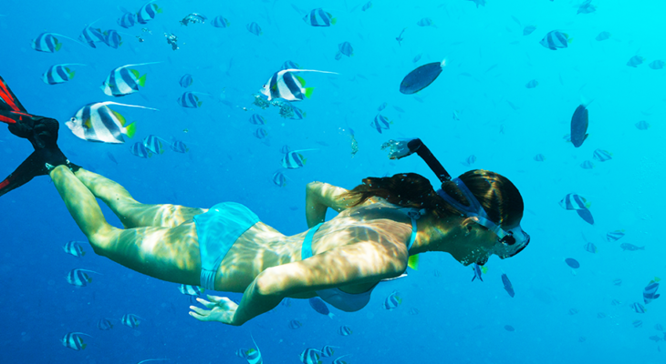 Boracay Snorkeling with many fish