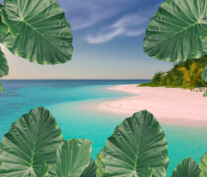 Top 10 Perfect Summer Beach Destinations in the Philippines that you might not have heard of - 2021 edition