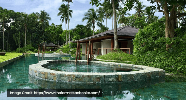 The Farm at San Benito, Lipa Batangas
