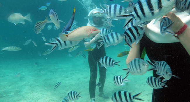 Helmet diving in Boracay