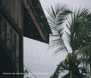 Rainy Season Delights: Exploring the Best Food for Rainy Seasons in the Philippines